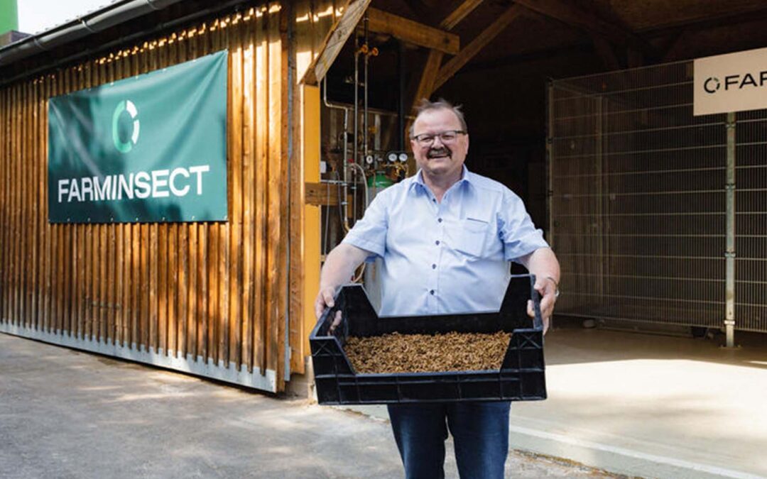 Fische füttern mit gemästeten Maden – Bayerisches Landwirtschaftliches Wochenblatt